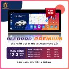 man-hinh-android-oledpro-premium-12-3-inch-3